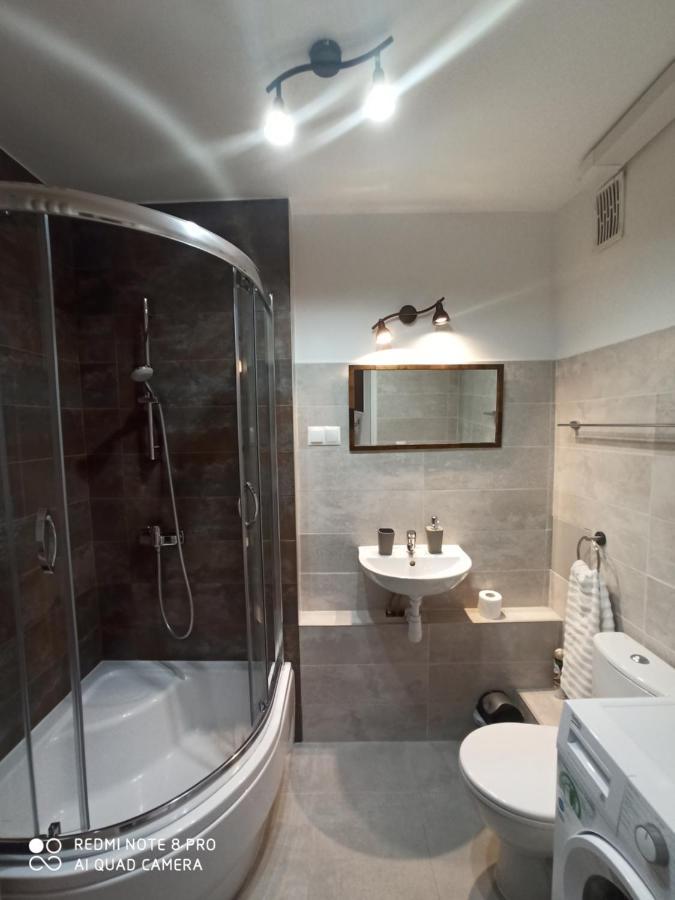 Apartament Pod Sanockim Zamkiem 사노크 외부 사진