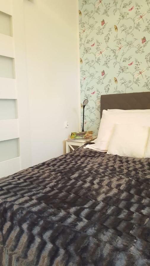 Apartament Pod Sanockim Zamkiem 사노크 외부 사진